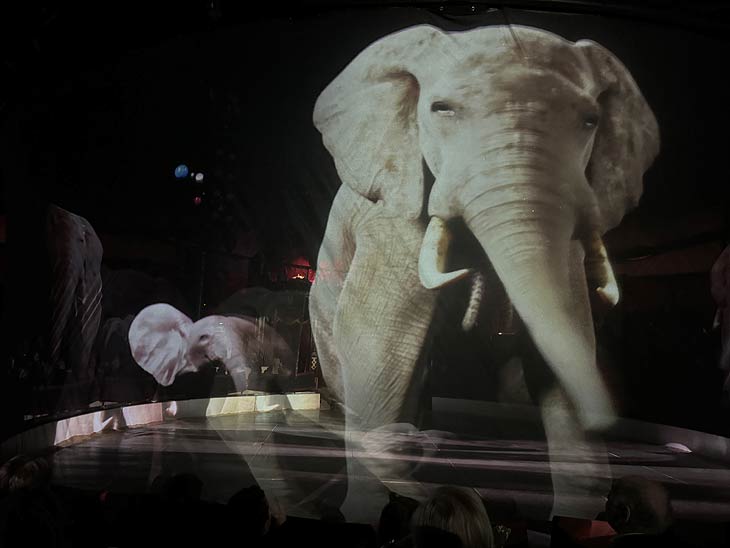 Elefant Holographie - technisch hat sich deutlich fortentwickelt seit sie 2019 erstmals vorgestellt wurde (©Fot: Martin Schmitz)